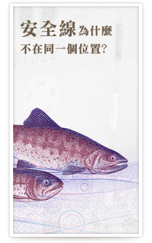 安全線為什麼不在同一個位置？