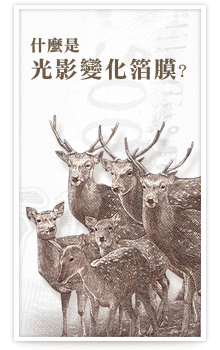 什麼是光影變化箔膜？