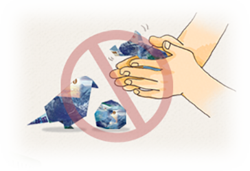 不要摺疊、搓揉